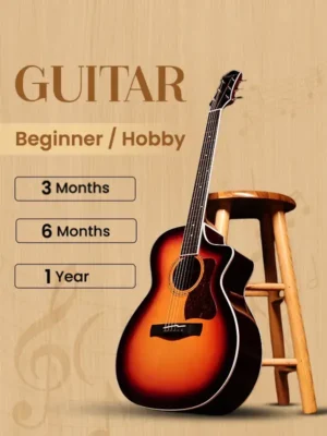 Guitar (Beginner/Hobby)