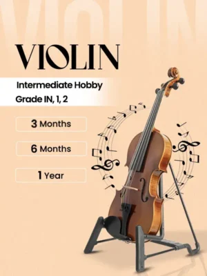 Violin (Intermediate Hobby/Grade IN, 1, 2)